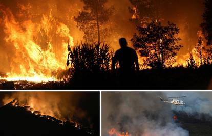 Španjolska i Portugal bore se sa šumskim požarima, vrućine prže južnu Europe: Padat će rekordi