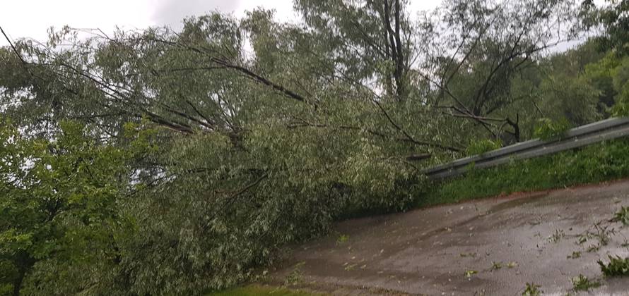 Oluja u Hrvatskoj čupala stabla i poplavila ulice, bilo je i tuče...