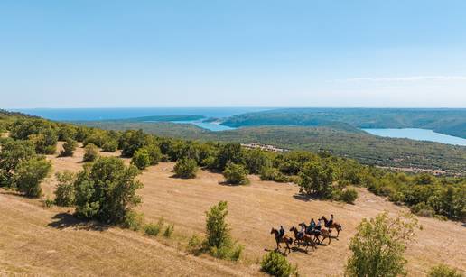 Jahanje konja u Istri tijekom cijele godine: doživljaj koji veseli djecu i odrasle