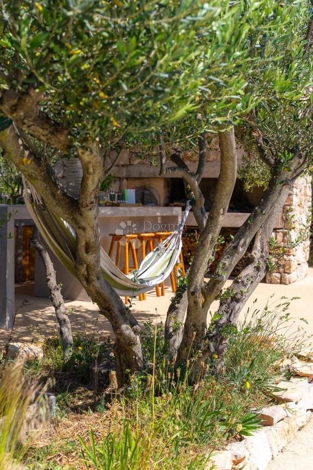 FOTO Nikad viđeno! Prodaje se vila na Šolti. Stoljetna maslina vam raste kraj kauča. Evo cijene