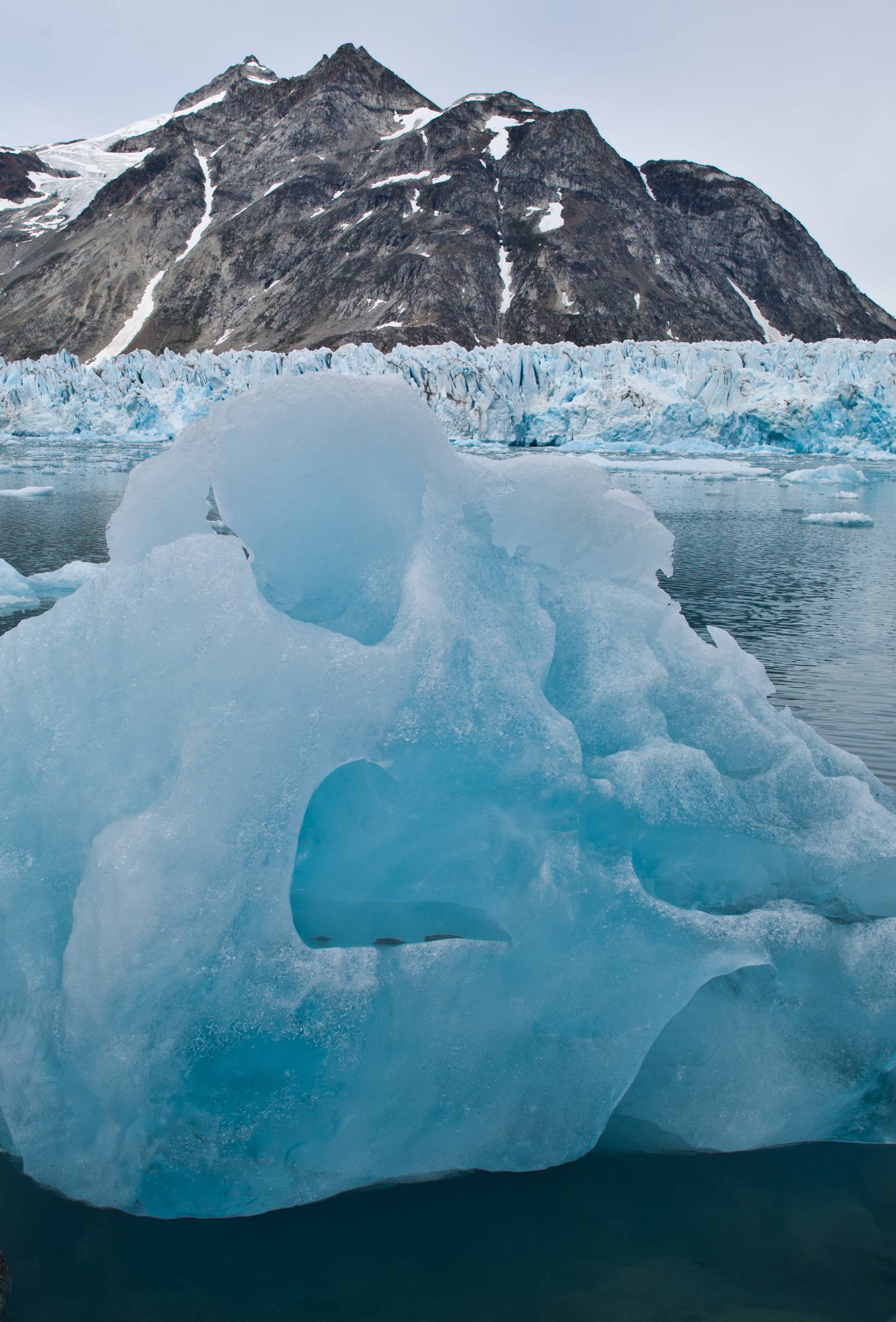 Humpback whale in East Greenland