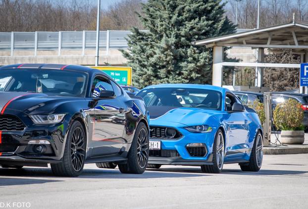 GALERIJA Kultni američki Mustanzi zablistali su u Rovinju