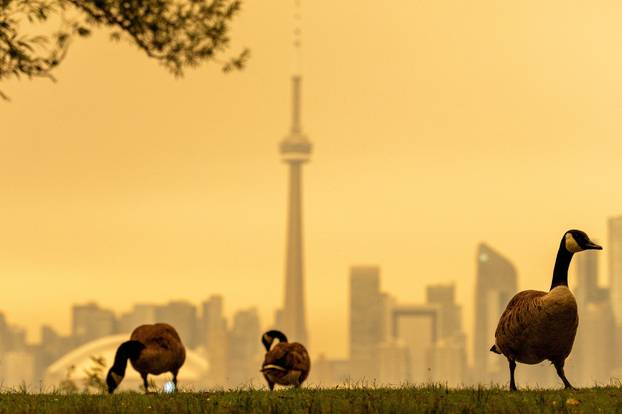Wildfire smoke in Ontario