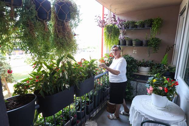 Zagreb: Jasenka Marija Kaštelan ima najljepši vrt na balkonu i ispred zgrade 