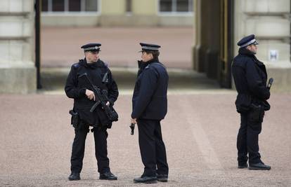 Penjao se po zidu: Pokušao je ući u Buckinghamsku palaču