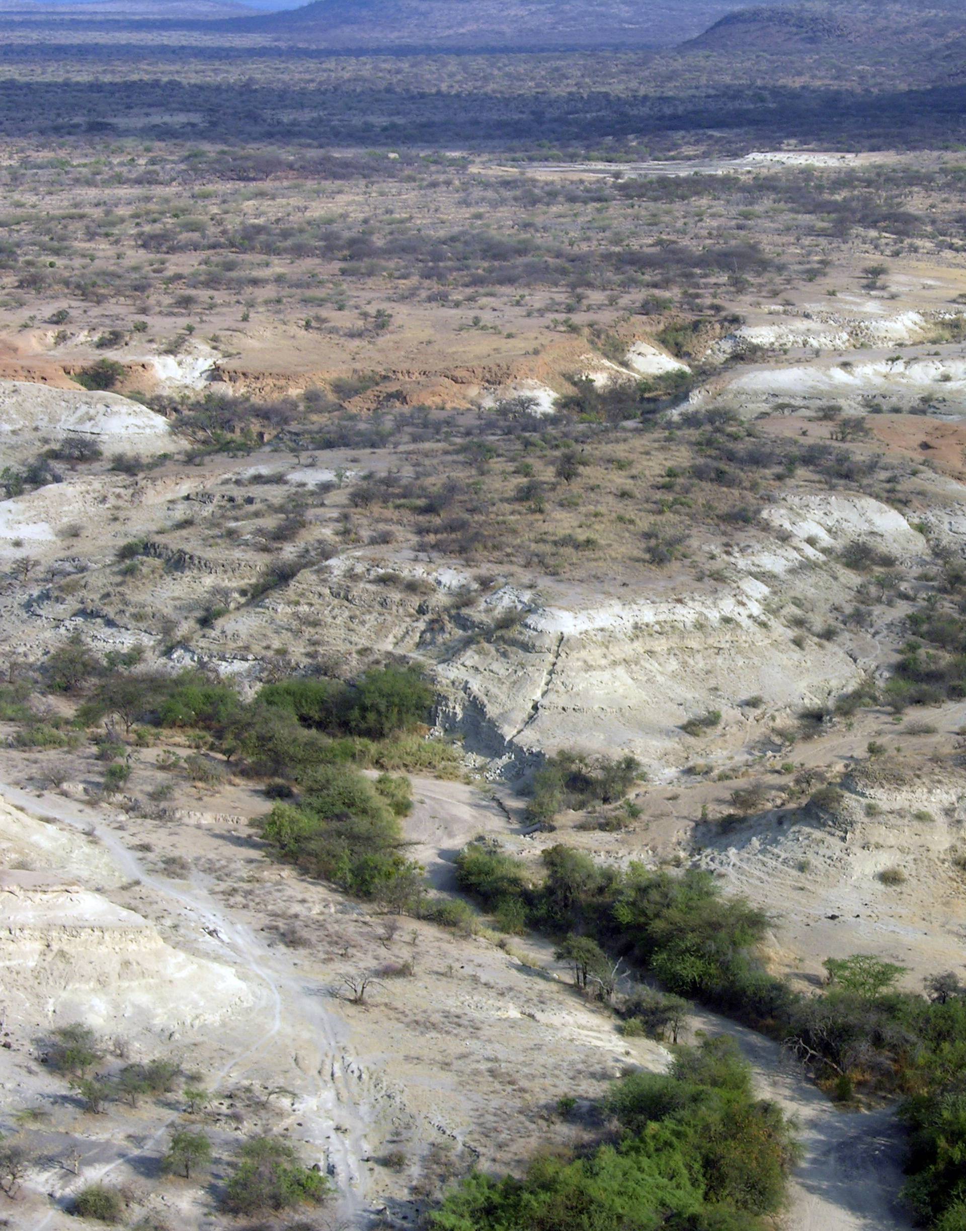 A bird's eye view of the Olorgesailie Basin in southern Kenya