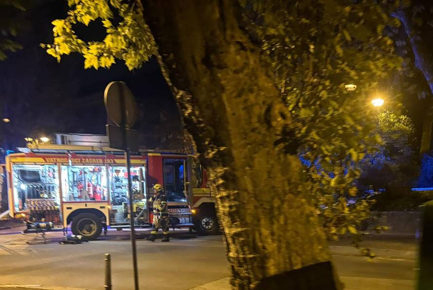 VIDEO Gori Kino Tuškanac u Zagrebu: Na terenu i policija