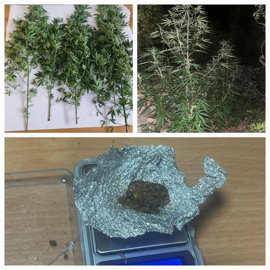 FOTO Palo više dilera diljem Dalmacije: Uhvatili i Britance