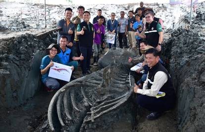 Otkiće na Tajlandu: Pronašli kostur kita starog 5000 godina
