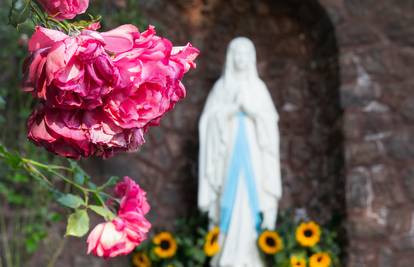 Simbolika cvijeća u kršćanstvu: Djetelina simbolizira Trojstvo, a maslačak Kristovu muku
