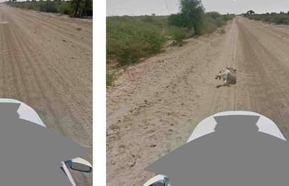 Google: Nismo ubili magarca u Bocvani, evo i slika kao dokaz