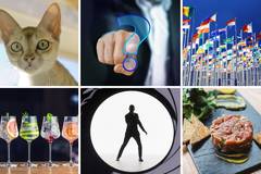 Ajmo, znalci! Tko može riješiti svih 25 pitanja na ovom kvizu?