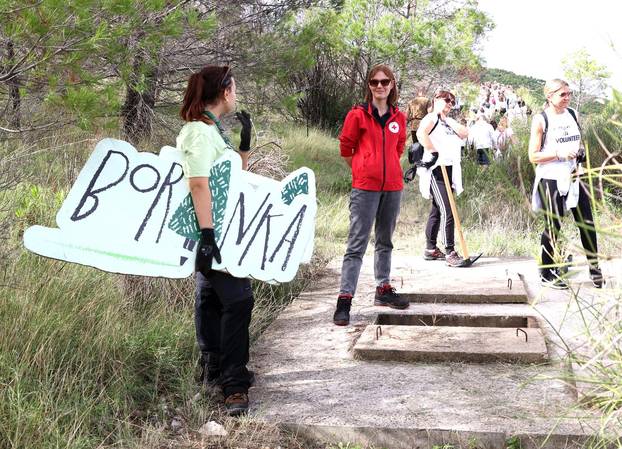 Grebaštica: Više od tri stotine volontera i izviđača, sudjeluje u najvećoj europskoj volonterskoj akciji pošumljavanja požarišta
