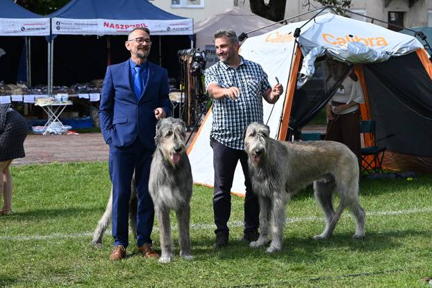 FOTO Neodoljive su njuškice ovih dana blistale u Karlovcu