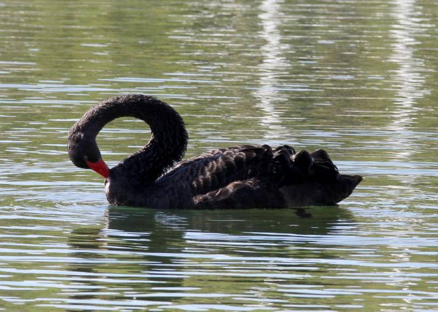 Duško Jaramaz/PIXSELL