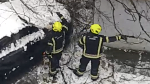 Zagrebački vatrogasci imaju pune ruke posla: 'Imali smo 30-ak intervencija zbog stabala'