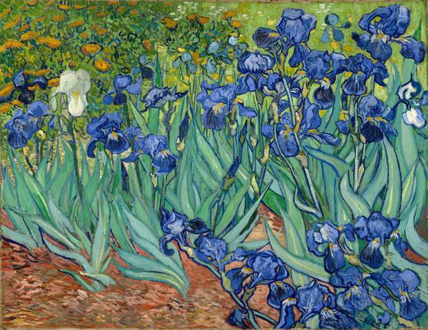 Irises, Vincent Van Gogh  Date: Saint Remy-de-Provence 1889