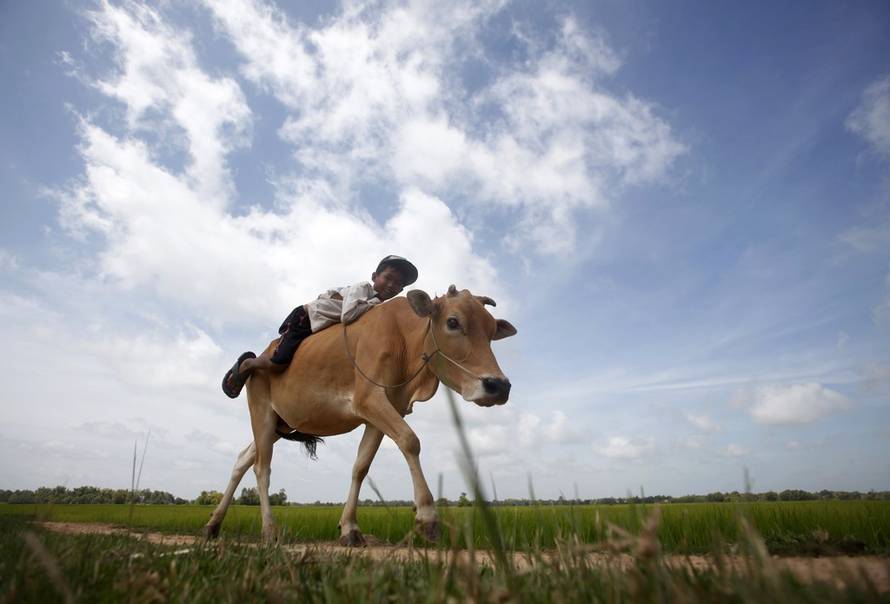 Reuters/Pixsell