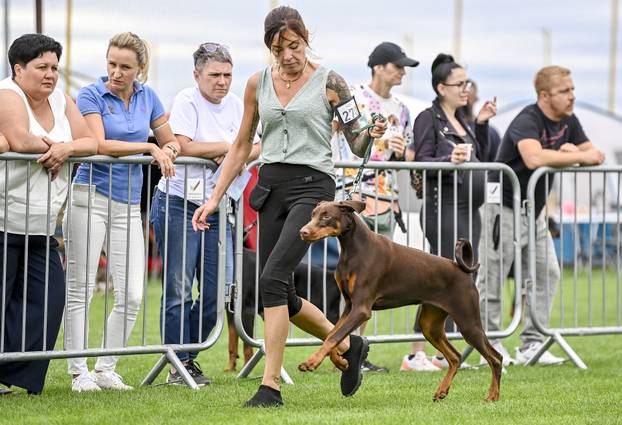 Velika Gorica: IDC Svjetsko prvenstvo pasmine doberman