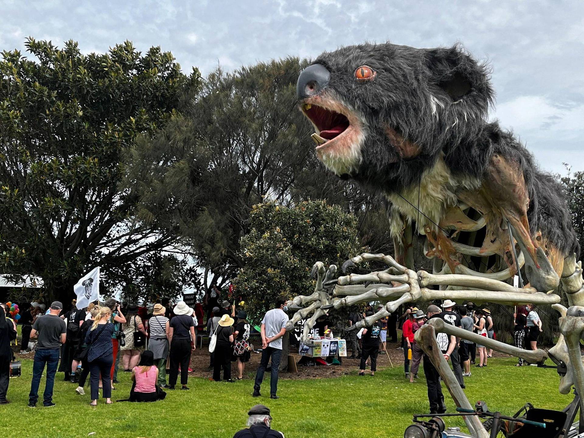 Extinction Rebellion activists hold a koala funeral in Melbourne