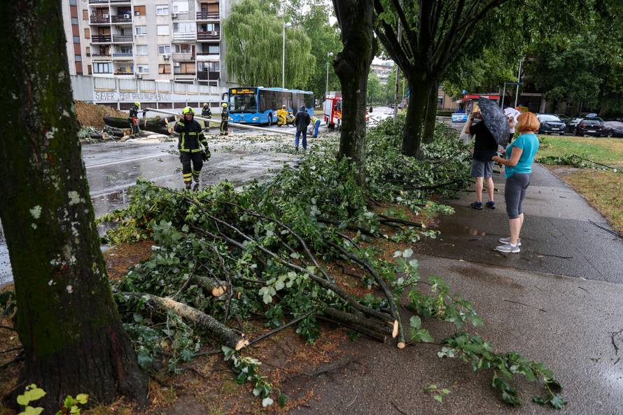 Zagreb: Vatrogasci uklanjaju stablo koje je palo u Ulici Svetog Mateja