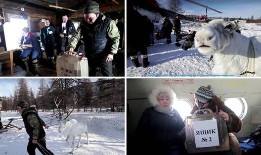 VIDEO Stočari u dalekom Sibiru već su glasovali na ruskim izborima: S njima bili i sobovi...