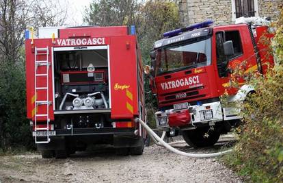 U požaru štale izgorila dva bika, dvije krave i junica