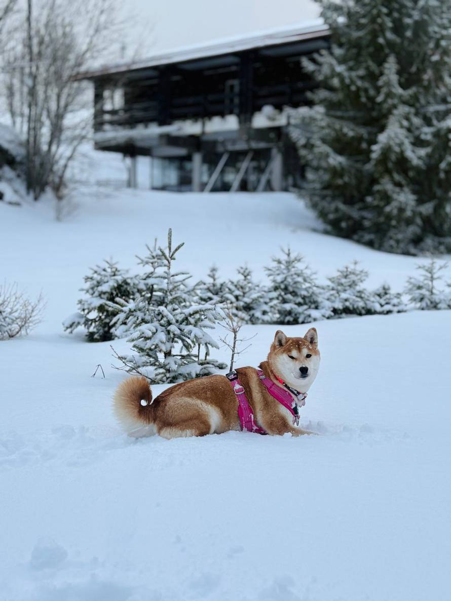 Općinska komunalka sama 'izlopatala' snijeg sa staze: 'Nema nikakve drame u tome'