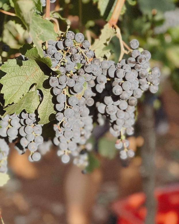 FOTO Evo koje hrvatsko selo je na listi najboljih sela svijeta za turiste - jeste li čuli za njega?