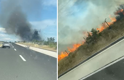 VIDEO Sletio s ceste u maslinik kod Nadina. Auto se zapalio: 'Izgorjelo je pola maslinika...'