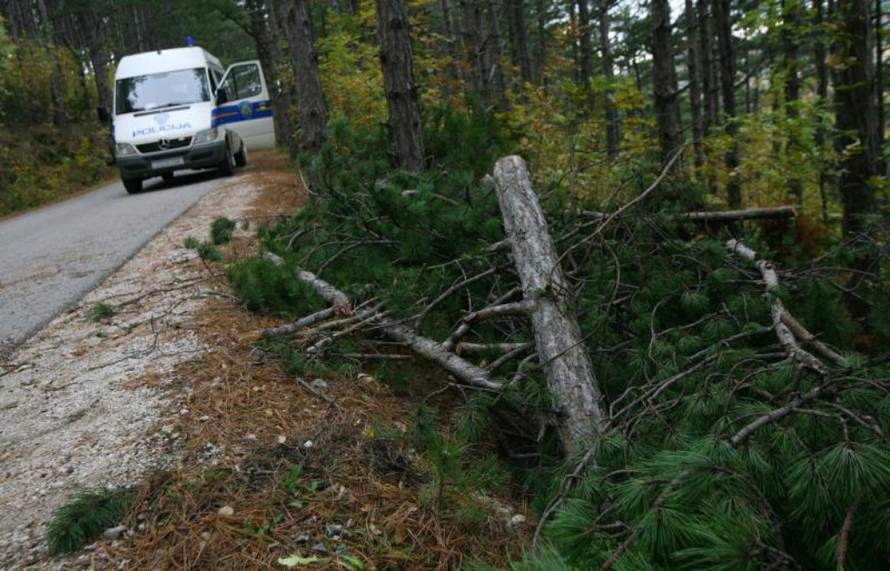 Nel Pavletić/Pixsell