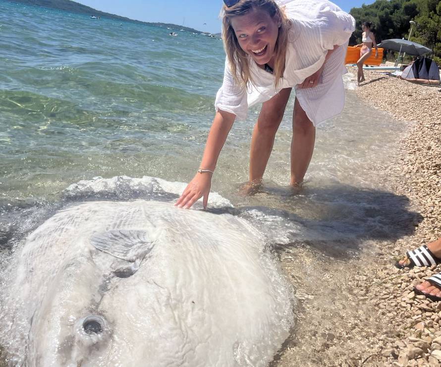VIDEO Neobična i ogromna riba nasukala se na Jadriji: 'Kao da se sunča, baš nas je iznenadila'