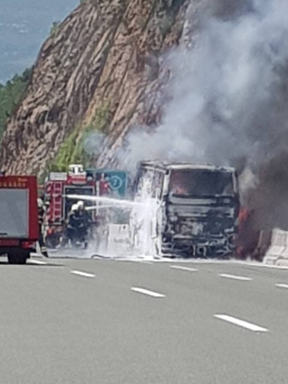 Video: Autobus je izgorio kod Rijeke, požar se širio i na šumu