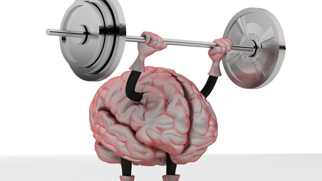 Pravi fitness za mozak: Sive stanice se bildaju uz križaljke