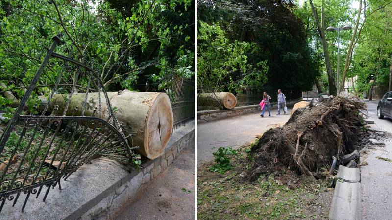 FOTO Palo je ogromno stablo kod javne garaže Tuškanac