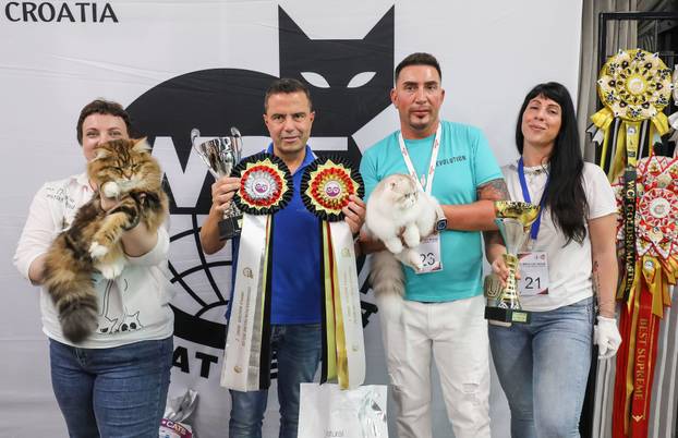 FOTO Otvorena Svjetska izložba mačaka u zagrebačkom Family Mallu! Traje i tijekom nedjelje