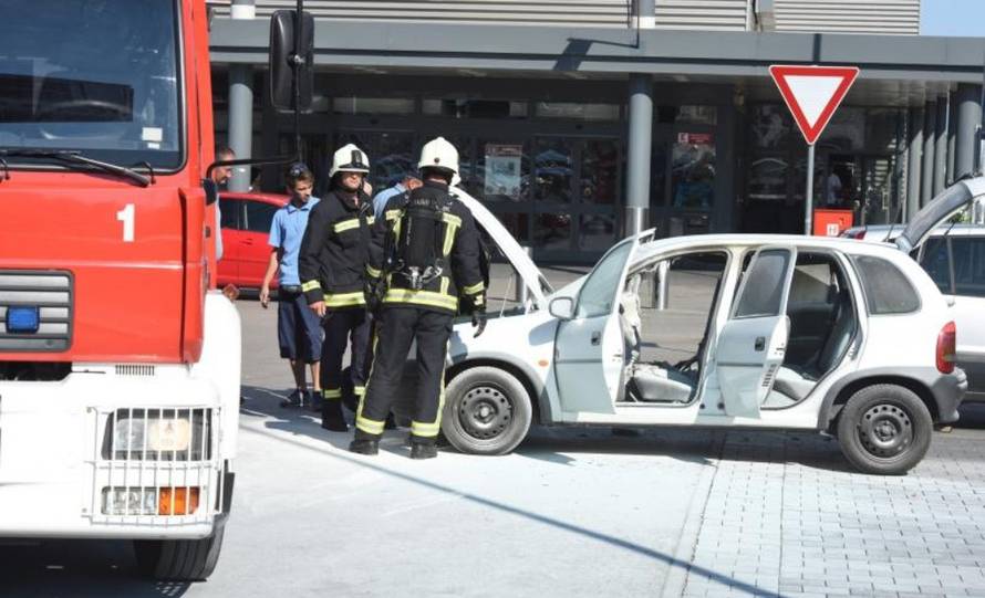 Hrvoje Jelavić/PIXSELL