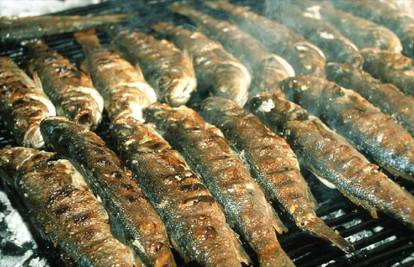 Za pripremanje na roštilju najbolja je masna riba 