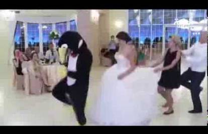 Novi hit: Čak i u svatovima plešu 'pingvinski ples'