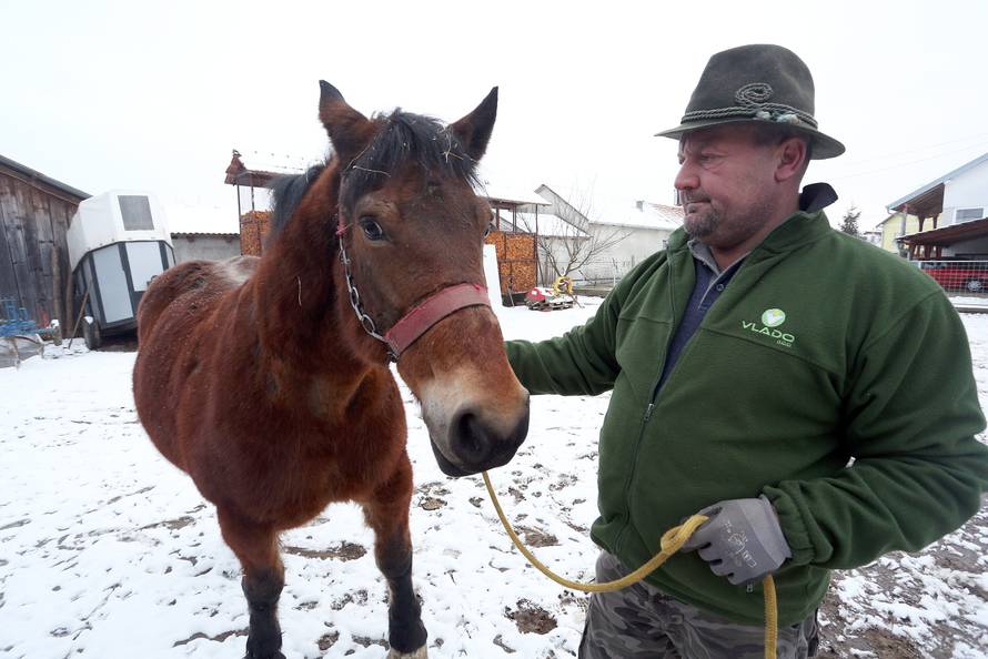 Da ove kobile nisu kod nas, vjerojatno bi bile u kobasama...