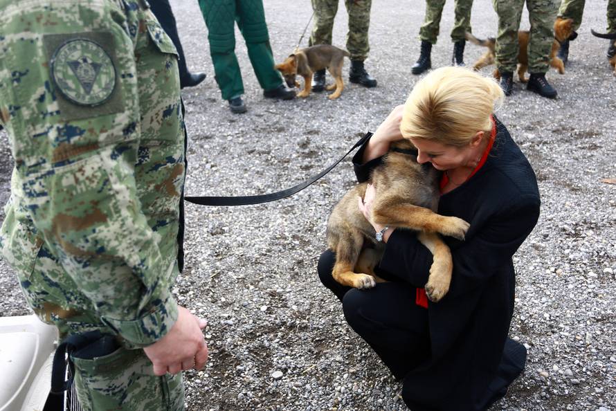 Zagreb: Predsjednica obiÅ¡la vjeÅ¾bu vojnih pasa povodom obljetnice Tigrova