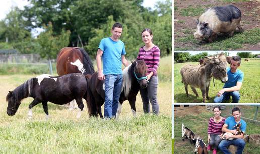 Carstvo u Murskom Središću: 'Na našem ranču Ponyland žive najsretniji konjići na svijetu'