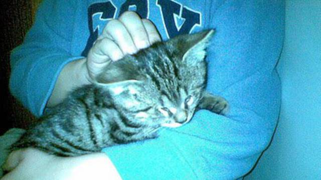Moj kućni ljubimac: Filip (8,5) ima mačka Tummy Teodora