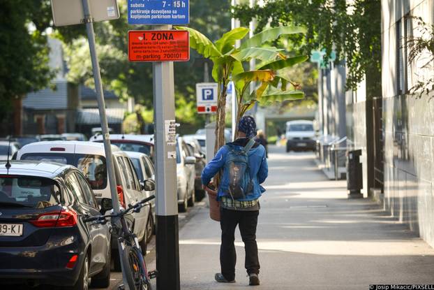 Zagreb: Veliki interes izazvala je godišnja rasprodaja viška biljaka u Botaničkom vrtu