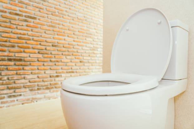White toilet bowl and seat