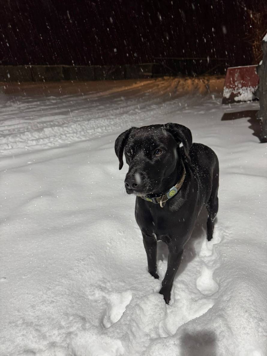 Općinska komunalka sama 'izlopatala' snijeg sa staze: 'Nema nikakve drame u tome'