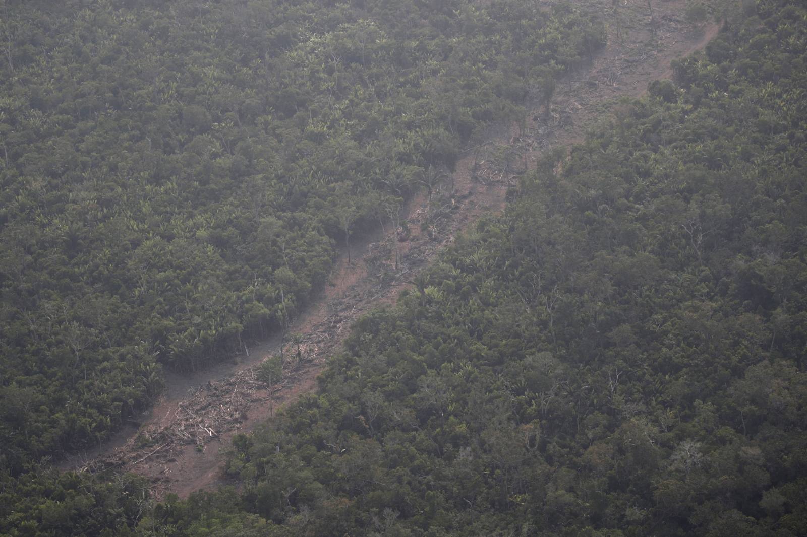 An aerial view of a deforested plot of the Amazon near Porto Velho