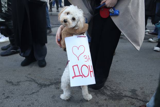 Beograd: Više od 300 motorista pridružilo se studentima u današnjoj blokadi 