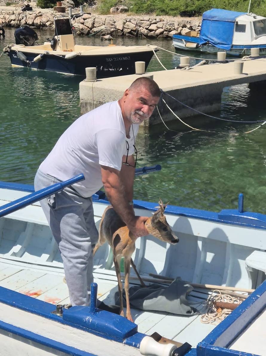 VIDEO Prelijepa gesta: 'Vidio sam srnu u moru i odmah skočio u barku i izvadio ju van'