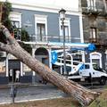 Snažna oluja u Italiji: 'Rušila su se stabla, ima štete i ranjenih'